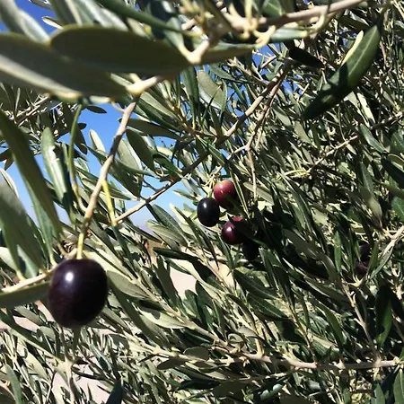 Maison Lucante